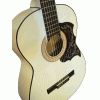 گیتار کلاسیک ایرانی زریاب رنگ براق
